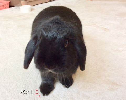 0BAB0FFE-71C9-4044-B3BB-C4DA460CE722