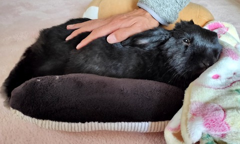 84E22887-D440-4C4E-8915-E03D7134E003