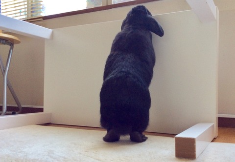 C8D362E1-44AF-45E9-9CAE-9B51FE00E516