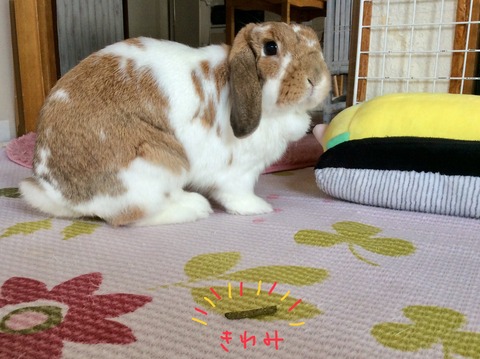 000F2BE4-9D83-4438-9C85-8D67085C173A