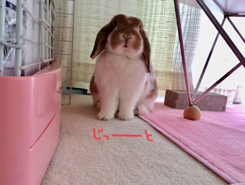 D5BBD654-D3DB-41CB-A1B6-FF023DE1A431