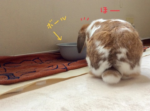 D5C59DC4-E024-4C8E-9F6E-6CD3FE0D4904