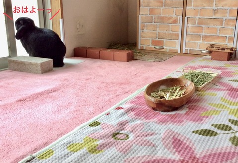 93FD8504-84C5-4A73-9E78-8CA3DE8A4830