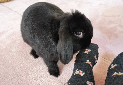 4D7E5599-5650-4AFB-A08F-36FE501D6DCF