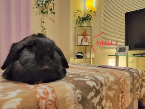 3E3B69F5-8365-4F1F-BEA4-ED84199244FB