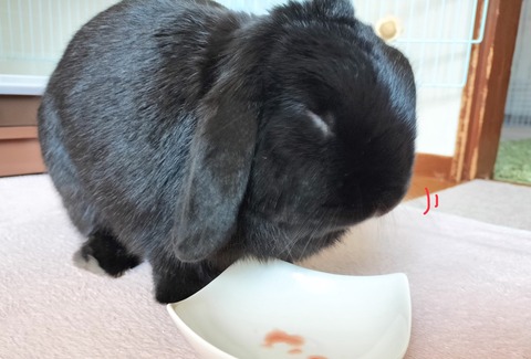 2337CDA2-959A-4D95-A72B-07B064FC702B