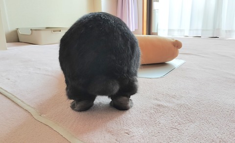 9549FB1F-4CCF-4761-8CC0-75D7F38D0671