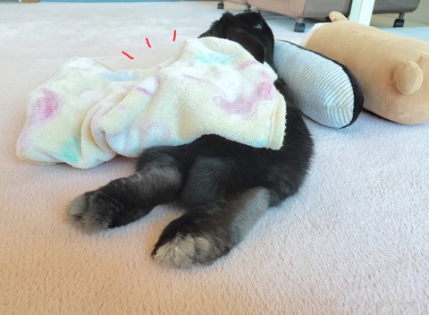 30361ACF-41F8-48C9-839A-FF6262CA8257