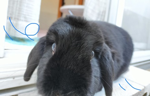 87155DDA-FA39-4D0F-A999-86960DB84564