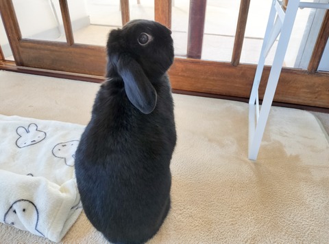 45803AA1-C229-4022-B8D5-553BB2FDB944