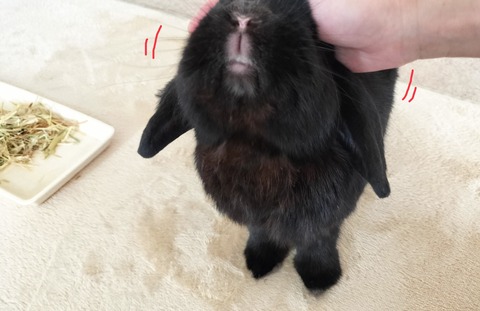 58DE2143-321F-4E7B-9BF4-431FD3EA8E88