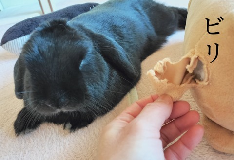 19E0DEFF-6704-4BEB-98B3-D55C13C5A64B