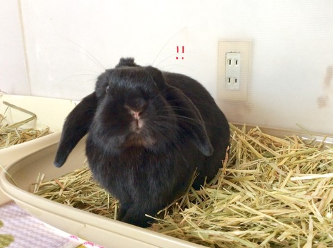 70ECAA8C-EE6D-4172-927F-011280B56A23