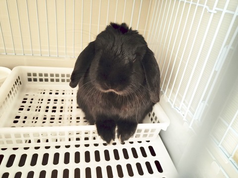 256900BD-2AB2-4AEA-A61C-0769C7112893