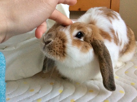 AFEB72B3-94B0-40E6-9C34-815FFF62C4BA