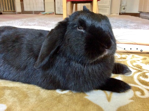 3B68F4AB-83AD-4AED-A46E-005BCBA3C59B