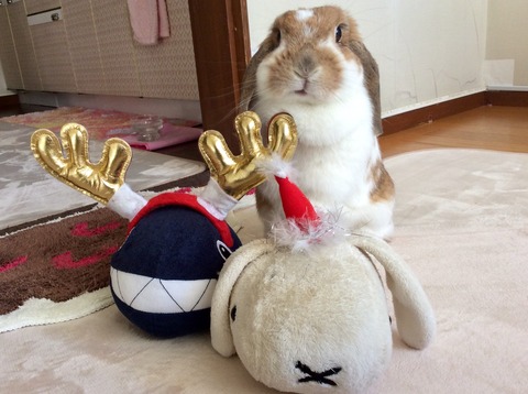 14B5E906-0053-40F5-A02D-1E0EC5B1E617