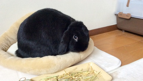 FAE76E9E-8AD0-4A86-B27D-B781FE0DA096