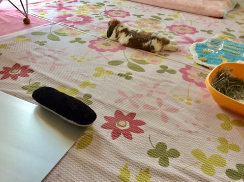 770E7FC3-2241-4733-BB94-59EF00A2118D