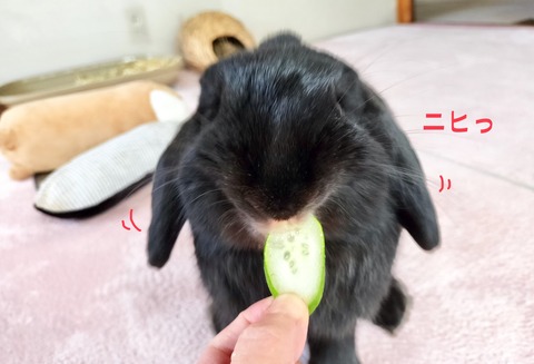 1137C060-31CB-4D12-9032-DBE3D6B34435