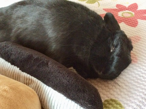 086BBBF3-AE51-49A6-A821-8F4C52DC9CAA