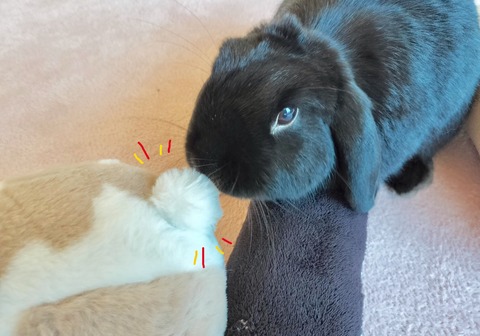 4D004276-420E-4C69-B57E-216CFC79D8F0