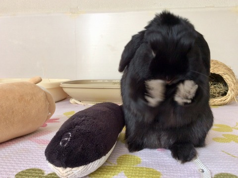 1E534975-BEB2-4B72-88D7-CB5207D61B94