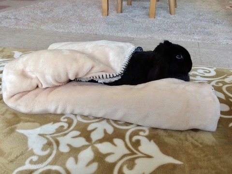 AD10D451-9274-4FDC-9F0B-7BE1AF17C212