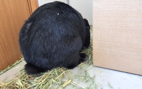 33CB8A64-5A73-4056-9209-6DAB8B69463A