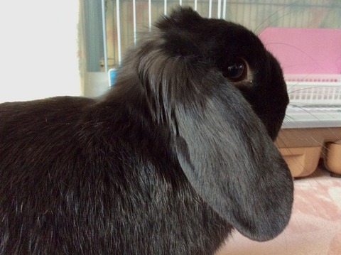 021ED9FB-269F-4E4B-97B1-7A89FC248F96