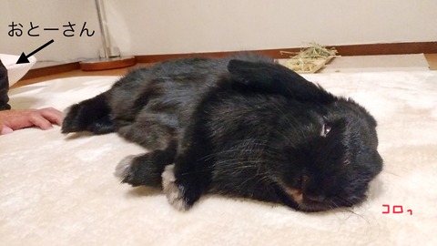 8CA3CA6D-F46D-4DF9-A007-81CCD12841DA