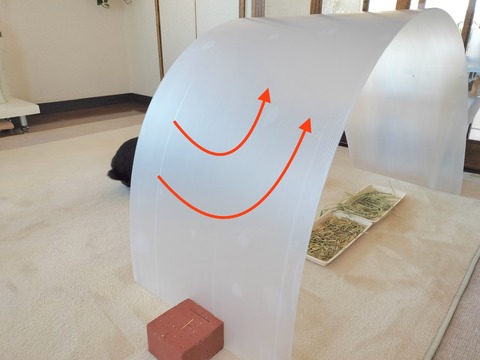 4B6F6078-3940-4163-B73B-403175A29A4E