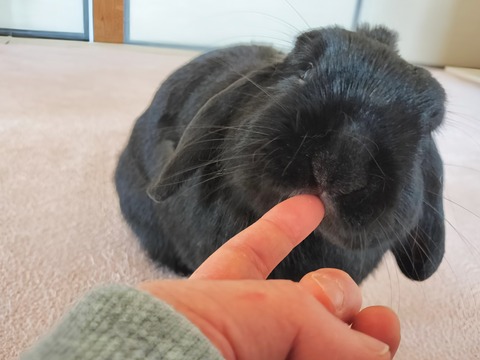 A75F9144-FE37-481E-B6F9-6F5D4E871080