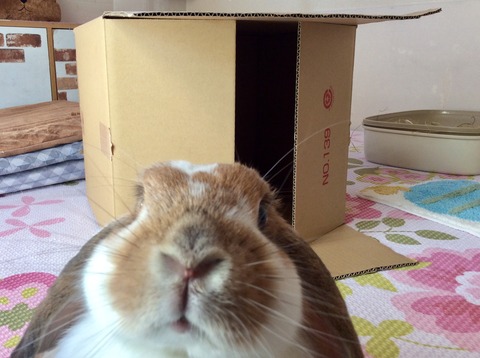 16E2DEEE-966E-4A47-B9C2-BC22F5460AAC