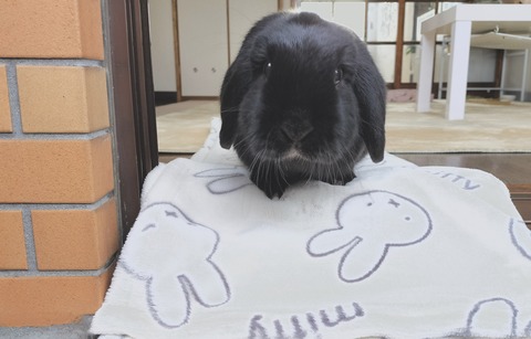 B7F747DC-CA1A-455A-83EF-AF5D6271DA6A