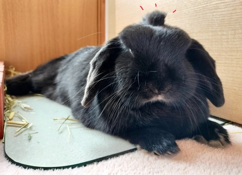 524615CF-41E0-4961-9DA8-EC45C945DBA5