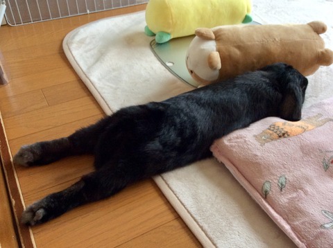 C41F9ED4-6636-43A0-AC9A-E07634F9A4F7