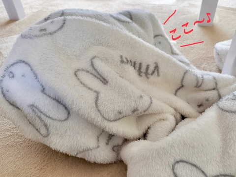 AE235432-4679-43A4-B818-3B728A7F22FE