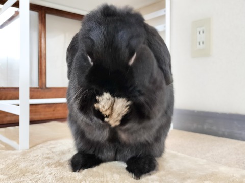 D720A036-FA00-461E-82C3-BC43CA53D0A2