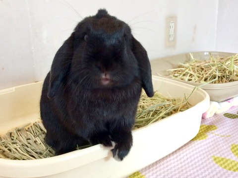 7E47CA69-9E78-4C55-BD8E-61B5635172A5