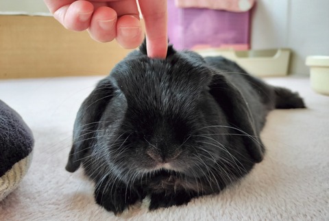 61DC6418-F617-4655-A59B-D86205BFDBD9