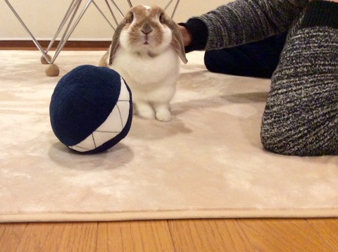 5BDA53D7-F45A-4F07-8819-360743C4F14B