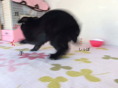 AF1B9953-3B77-4CBA-94FD-F631E61C21E9