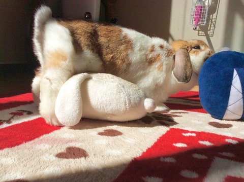 356F2B3C-96DC-4F30-89FC-1CAB05DE39D2