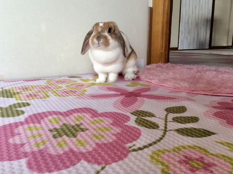 DD58F7A8-748F-4E9F-9B06-686040D40E0A