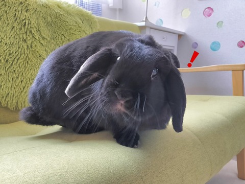 6852F2C1-A949-47C2-BCCA-6948BD6A4568