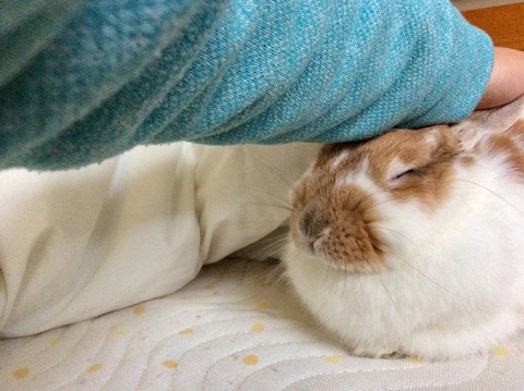 E9F3AE69-56F1-4005-9761-1DED57C26ECF