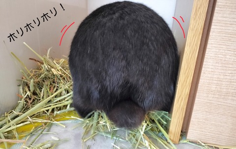 C4106671-1005-4330-9448-0A11F6C71BDD