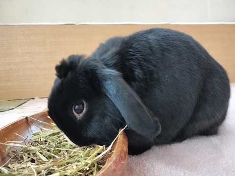 CACE0D1F-BA7F-4378-A869-84C9AD48FE0B