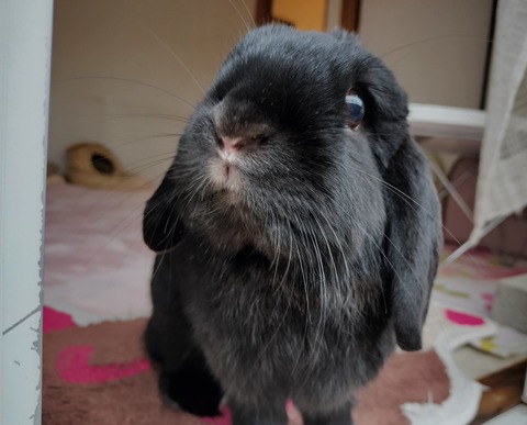 E68FA736-92A3-49F8-AF65-BC503949D516